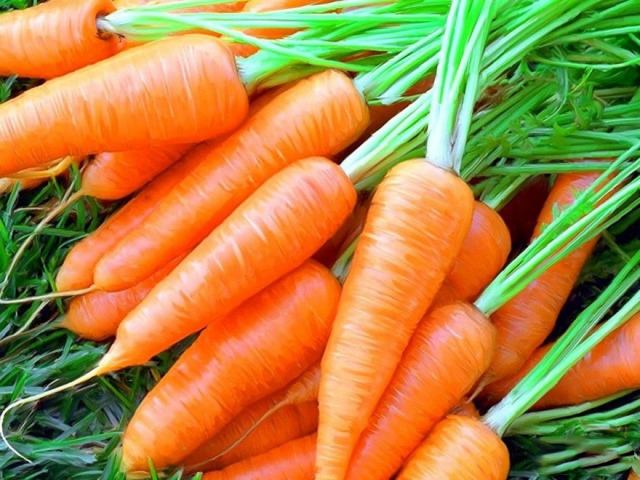 Морковь Свежая 1кг. • ТарТун (ՏարՏուն)